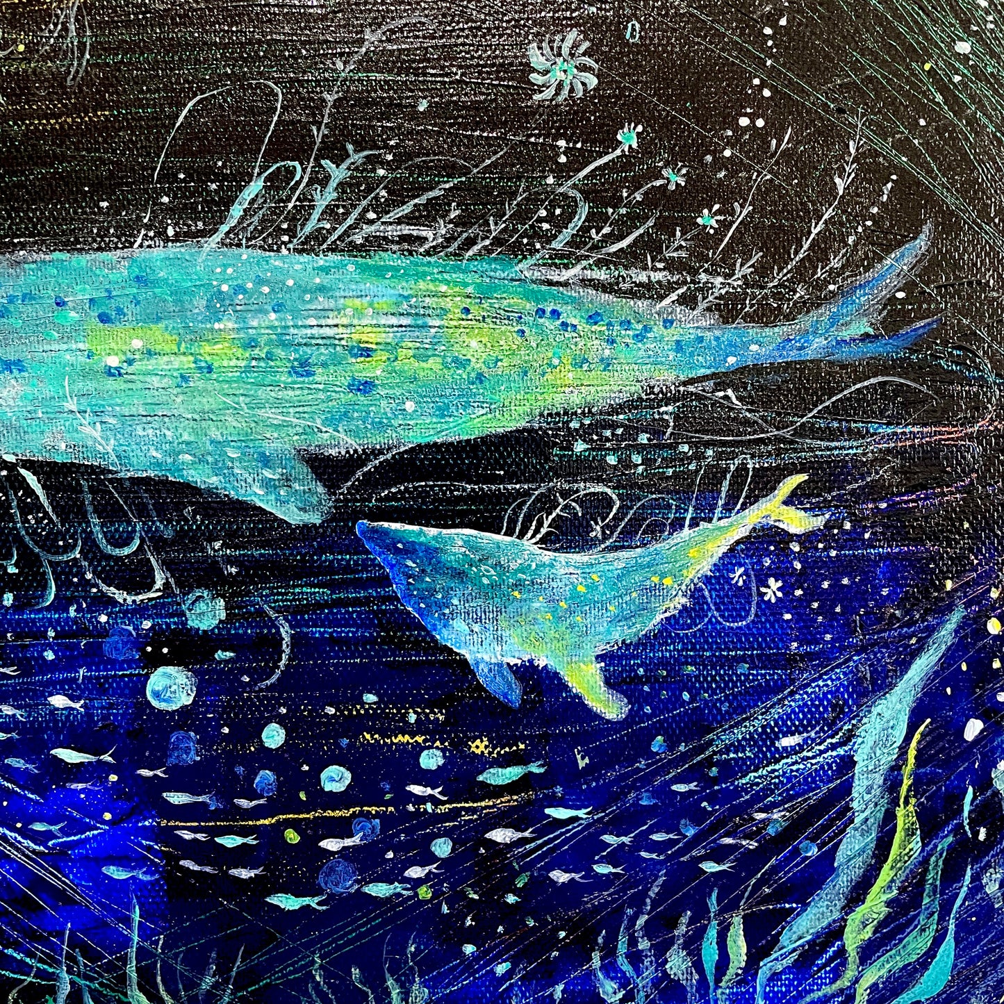 静穏な鯨
